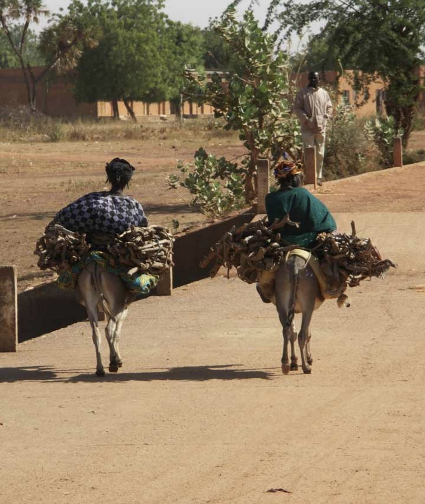 Introduction aux énergies renouvelables au Sénégal